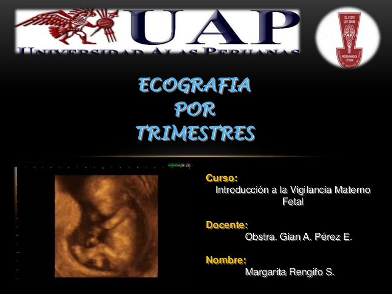 ecografia 11-14 semanas pdf