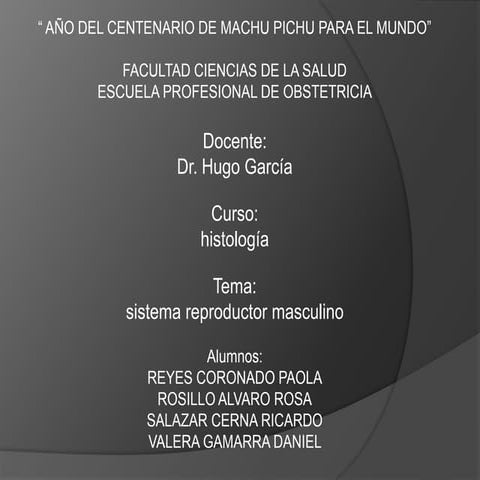 Expo de histologia de aparato reproductor masculino