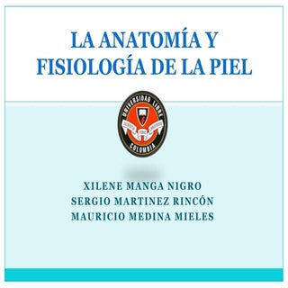 Anatomia y Fisiologia de la Piel