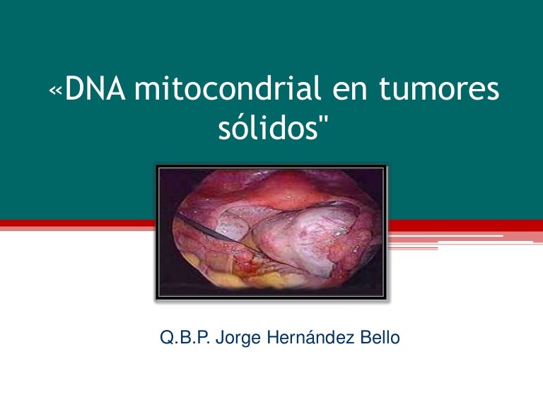 mitocondrias y cáncer de próstata mitocondrias y cáncer de próstata