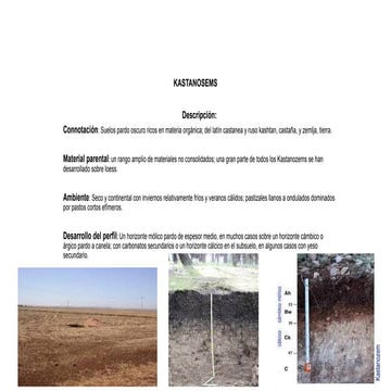 Calcisol.pdf