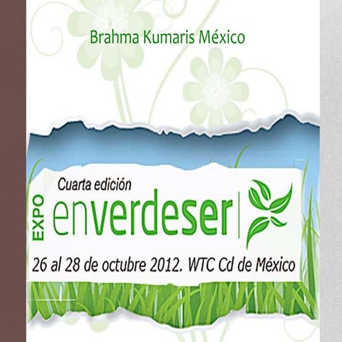 Expo en verdeser