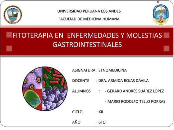 Resultado de imagen de Di adiós al dolor y la hinchazón con Aloe Vera para las llagas frías infografías