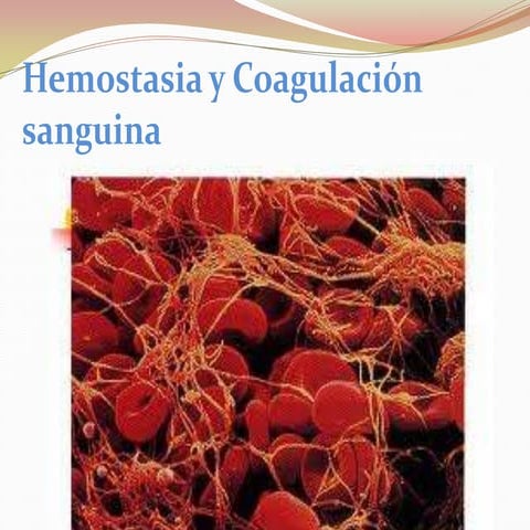 Hemostasia y coagulacion sanguinea | PPTX
