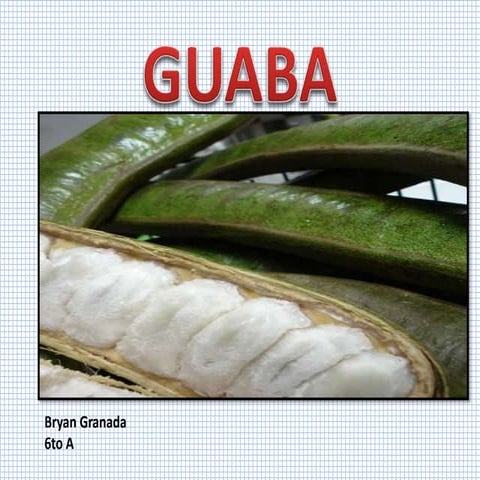Guaba Caracateristicas | PPT