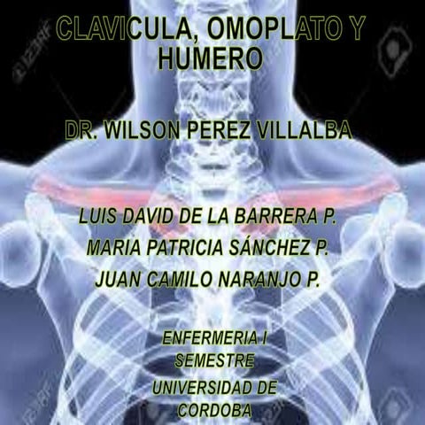 ANATOMÍA DEL HOMBRO Y BRAZO