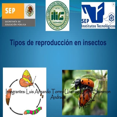Reproducción y desarrollo de insectos.pdf