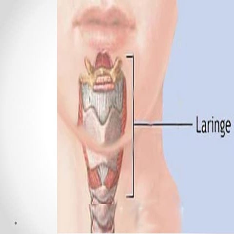 expolaringe-150219213659-conversion-gate02.pdf