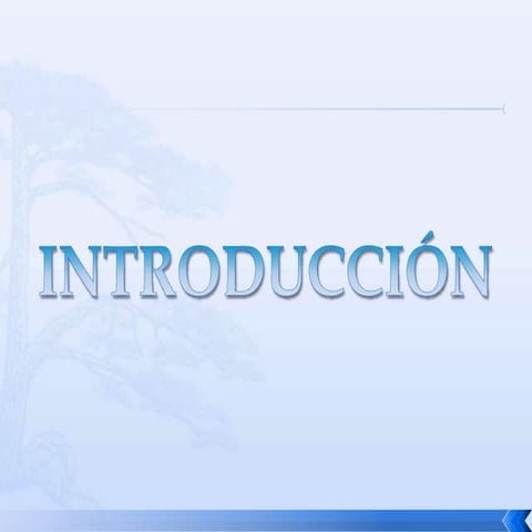 analisis de una empresa de caramelos