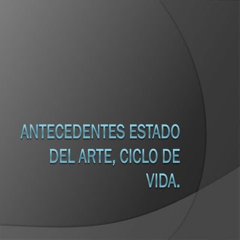 Antecedentes MSF