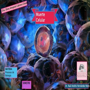 Expo Muerte celular.pptx