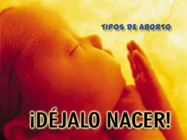 Ponencia