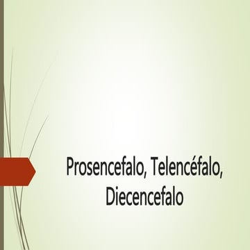 prosencefalo, telencefalo, diencefalo