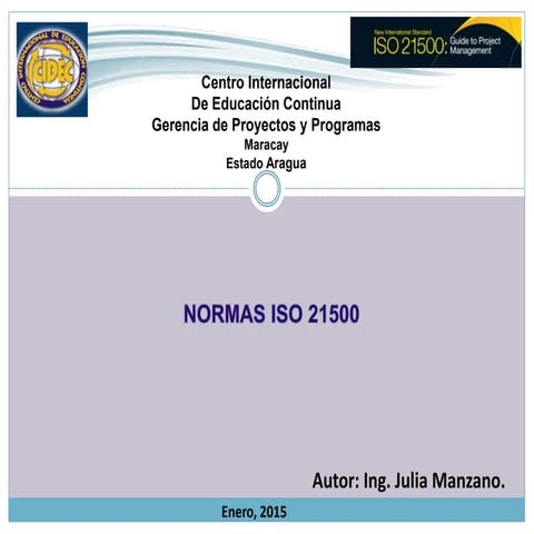 ISO 21500 | PDF