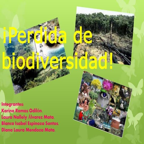 perdida de biodiversidad