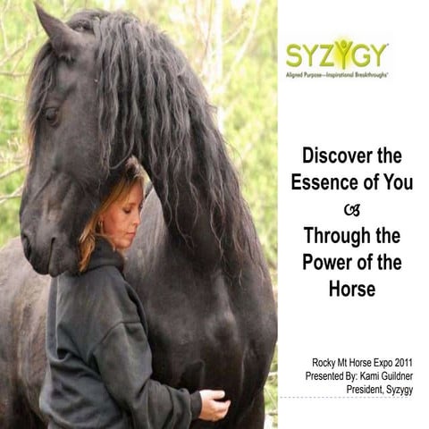 Rocky Mountain Horse Expo - Discover the Essence of You Through the Power of ...