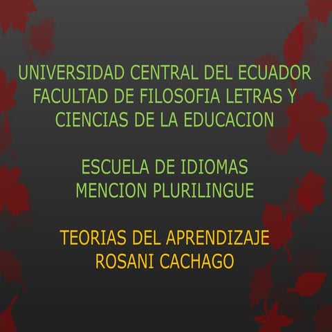 TEORIAS DEL APRENDIZAJE POR ROSANI CACHAGO