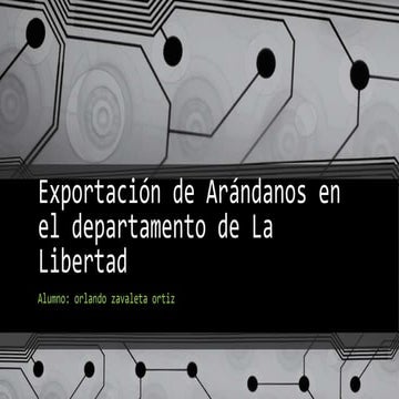 Exportación de arándanos en el departamento de la