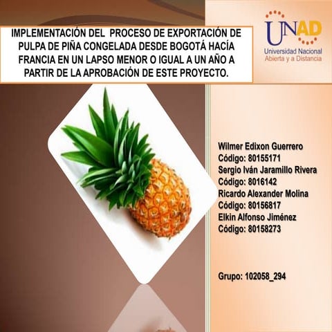 Exportacion de pulpa de piña a francia evaluacion final diseño de proyectos