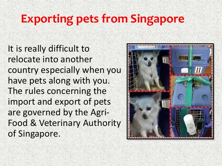 animal quarantine singapore