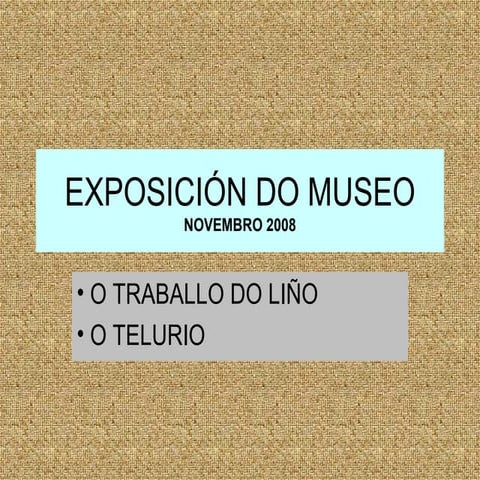 Exposición Museo (novembro)