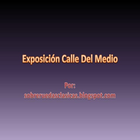 Exposición calle del medio2