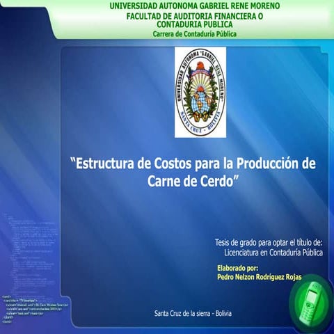 ESTRUCTURA DE COSTOS PARA LA PRODUCCIÓN DE CARNE DE CERDO