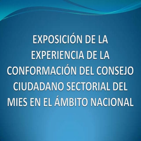 Exposición de la experiencia de la conformación del