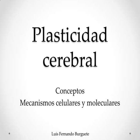 Plasticidad cerebral