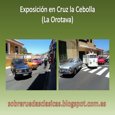 Exposición en cruz la cebolla              (la orotava