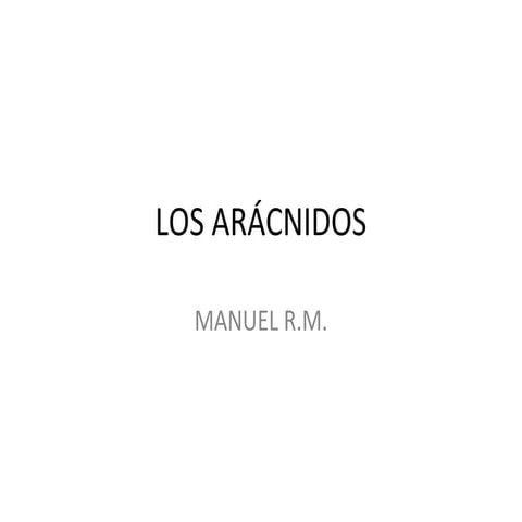 Los aránidos