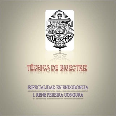 Exposición técnica de bisectriz