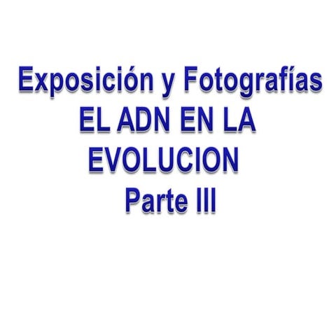 Taller de Activación de las 12 capas del adn | PDF