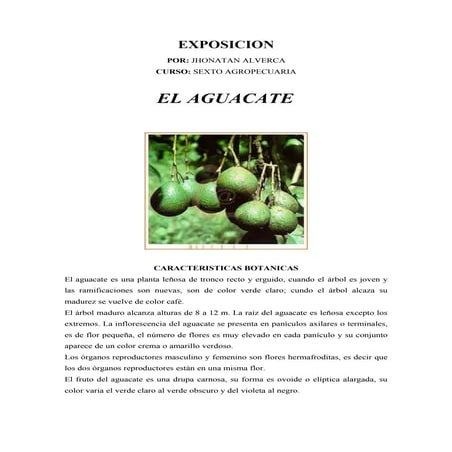EL AGUACATE