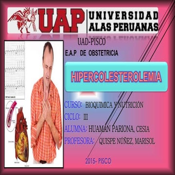 Exposicion de-hipercolesterolemia