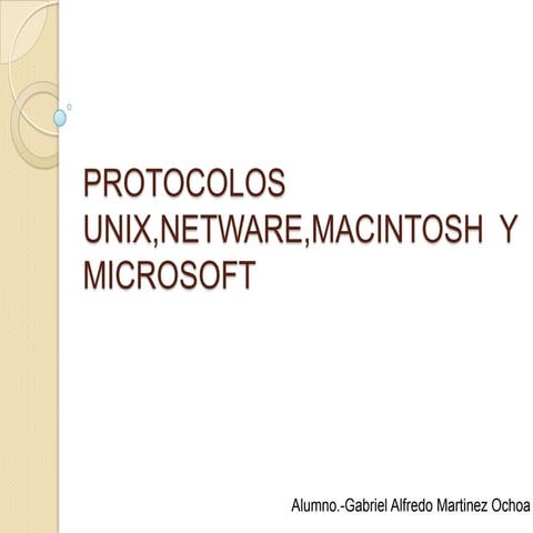 Protocolo xns | DOCX