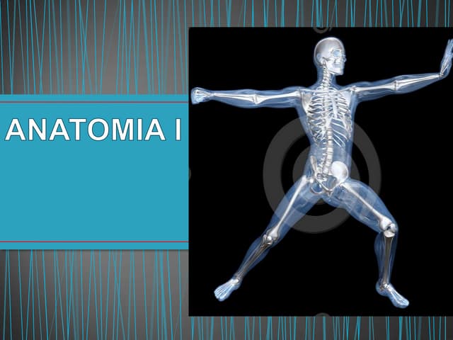 Generalidades de Anatomía 