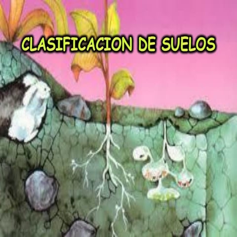 Calcisol.pdf
