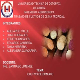 Exposicion cultivos de clima tropical