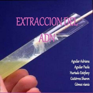 Extraccion de ADN