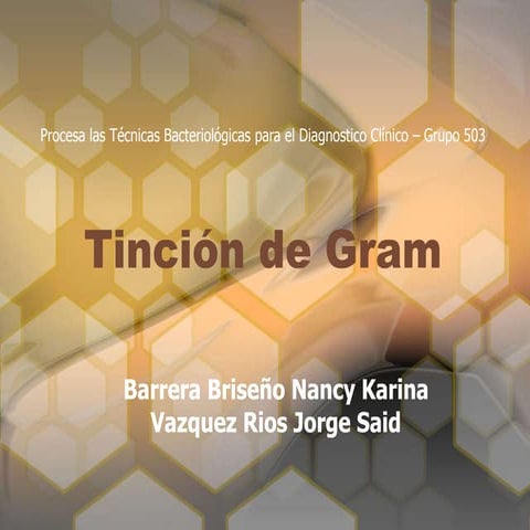 Tincion de Gram