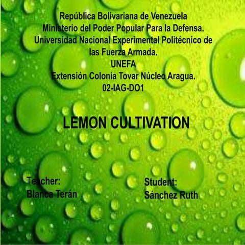 Exposicion de ingles ruth