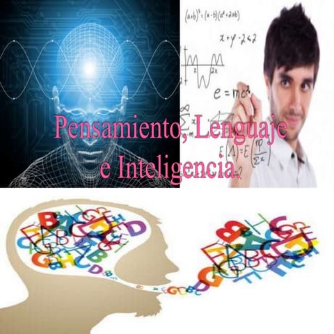 Exposicion del grupo 8 pen,len,intg