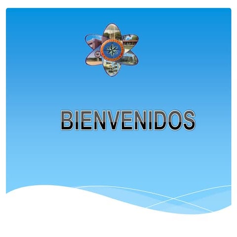 MATRIZ DE PERFIL COMPETITIVO