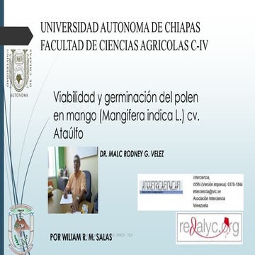 Viabilidad y germinación del polen en mango (Mangifera indica L.) cv. Ataúlfo