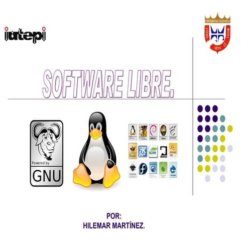 Exposicion De Software Libre
