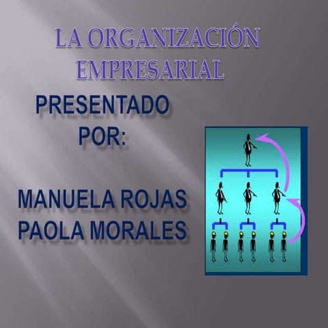 Exposicion diseño organizacional