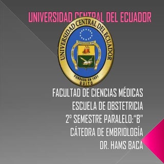 anomalias congenitas