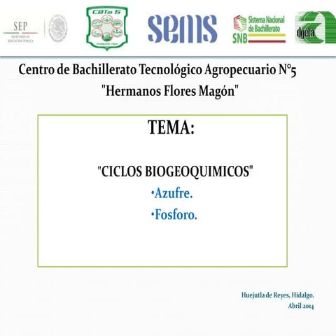 Ciclos biogeoquimicos del Azufre y Fosforo