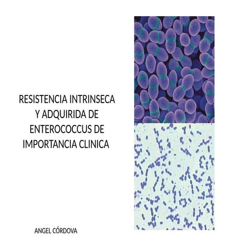 Enterococcus spp | PPTX